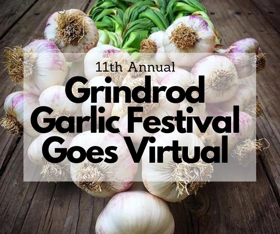 Community Support Grindrod Garlic Festival