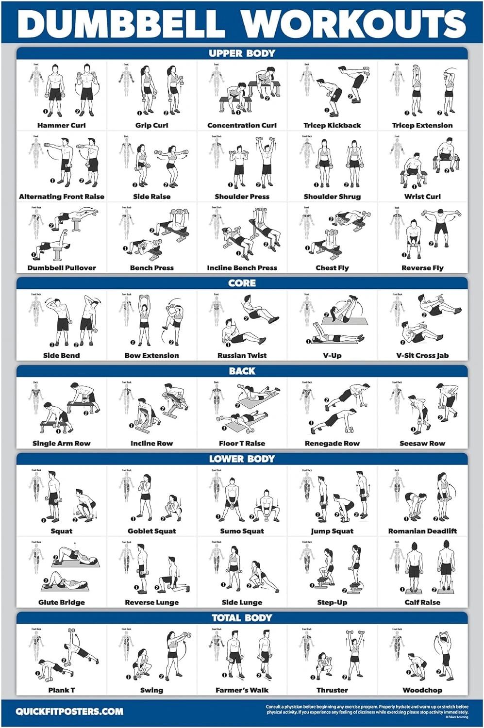Chart of dumbbell workouts targeting upper body, core, back, lower body, and total body muscles.