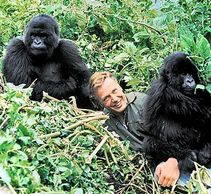 Sir David Attenborough Life on Earth BBC