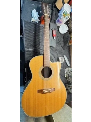 Refret and setup and electrical repair on this seagull.