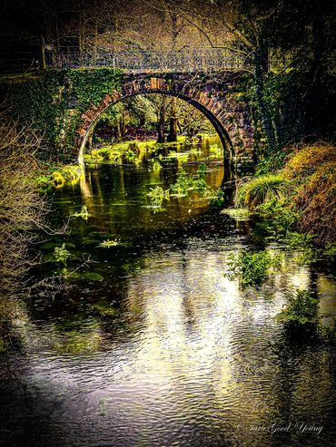 Bridge over stream on path to Killarney National Park, Bridge and greenery reflected in the water.