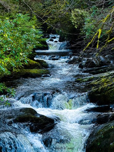 Rambling brook downstream of Torc Waterfall, Killarney National Park.