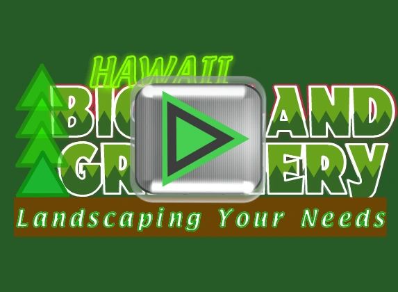 Big Island Landscaper Video