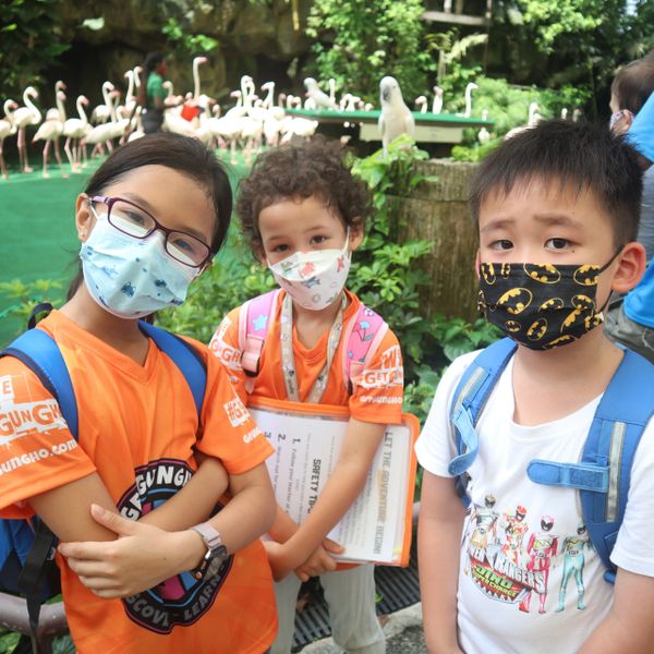 camp gungho sentosa get gungho camp asia kids camp singapore mindful camp proactiv prodigy centaurs