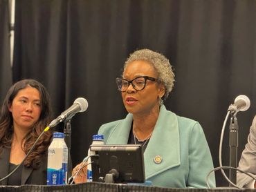 Assemblymember speaking in front of microphone with other panelists looking on