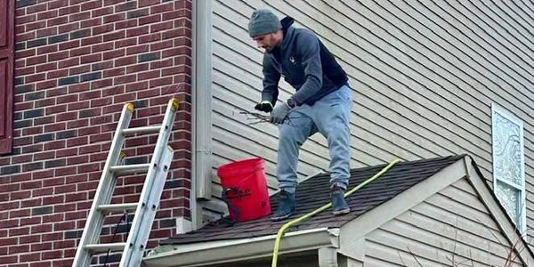 Team members going above and beyond for gutter services.