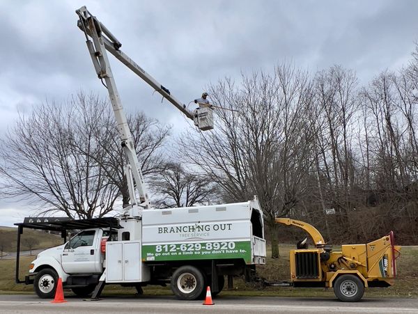 Pruning trees in the bucket truck working in Newburgh branching-out-tree-service