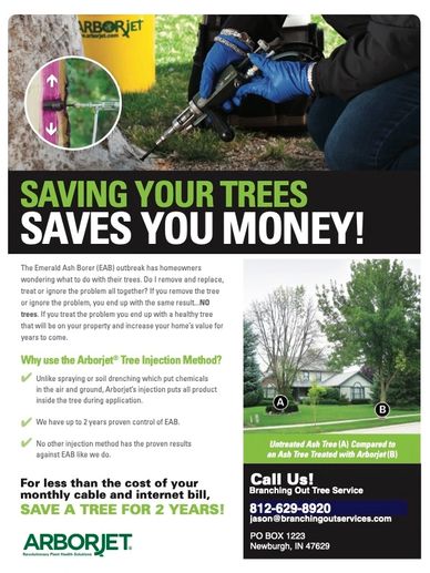 EAB Emerald Ash Borer