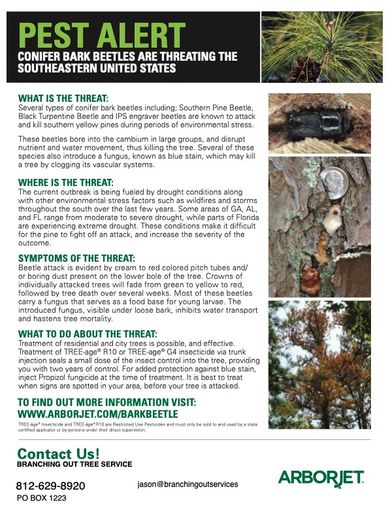 This insect has been found in our area and is treatable with tree injections