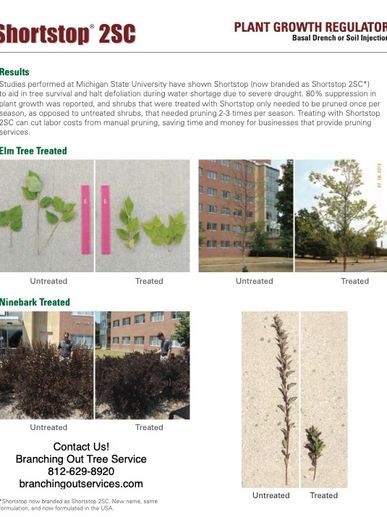 Plant growth regulator makes trees grow slower