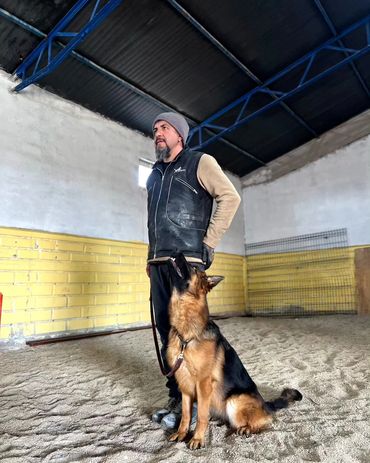 İDARECİSİİNİN SOL TARAFINDA YÜZÜNE ODAKLANMIŞ BİR ALMAN ÇOBAN KÖPEĞİ