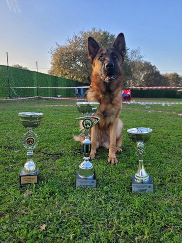 TEAM TK'S AURA VE 3 KUPASI