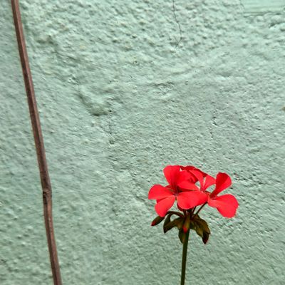 Trauma-Informed Spiritual Direction
Notice the Journey
Shannon Michael Pater
Miksang Photography