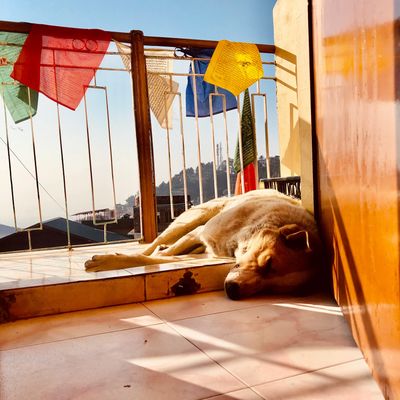 Trauma-Informed Spiritual Direction
Notice the Journey
Shannon Michael Pater
Miksang Photography