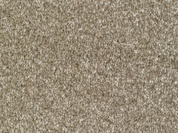 fawn sbc carpets