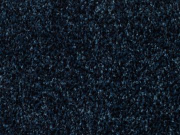 blue sbc carpets