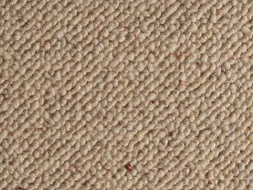 Ivory sbc carpets