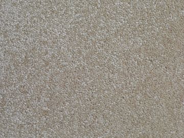 cosmic sbc carpets