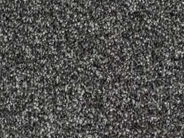 iron sbc carpets