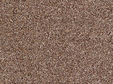 brown sbc carpets