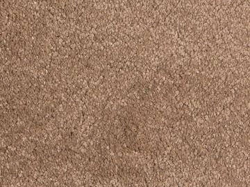 sandcastle sbc carpets