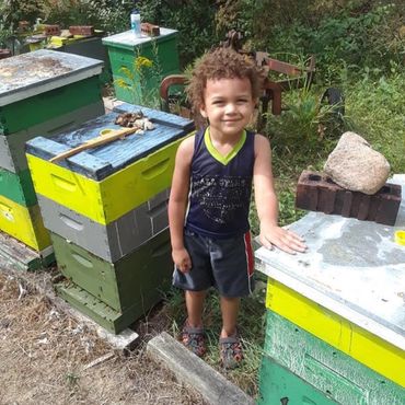 Growing up with bees