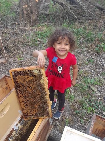 Raising kids and bees