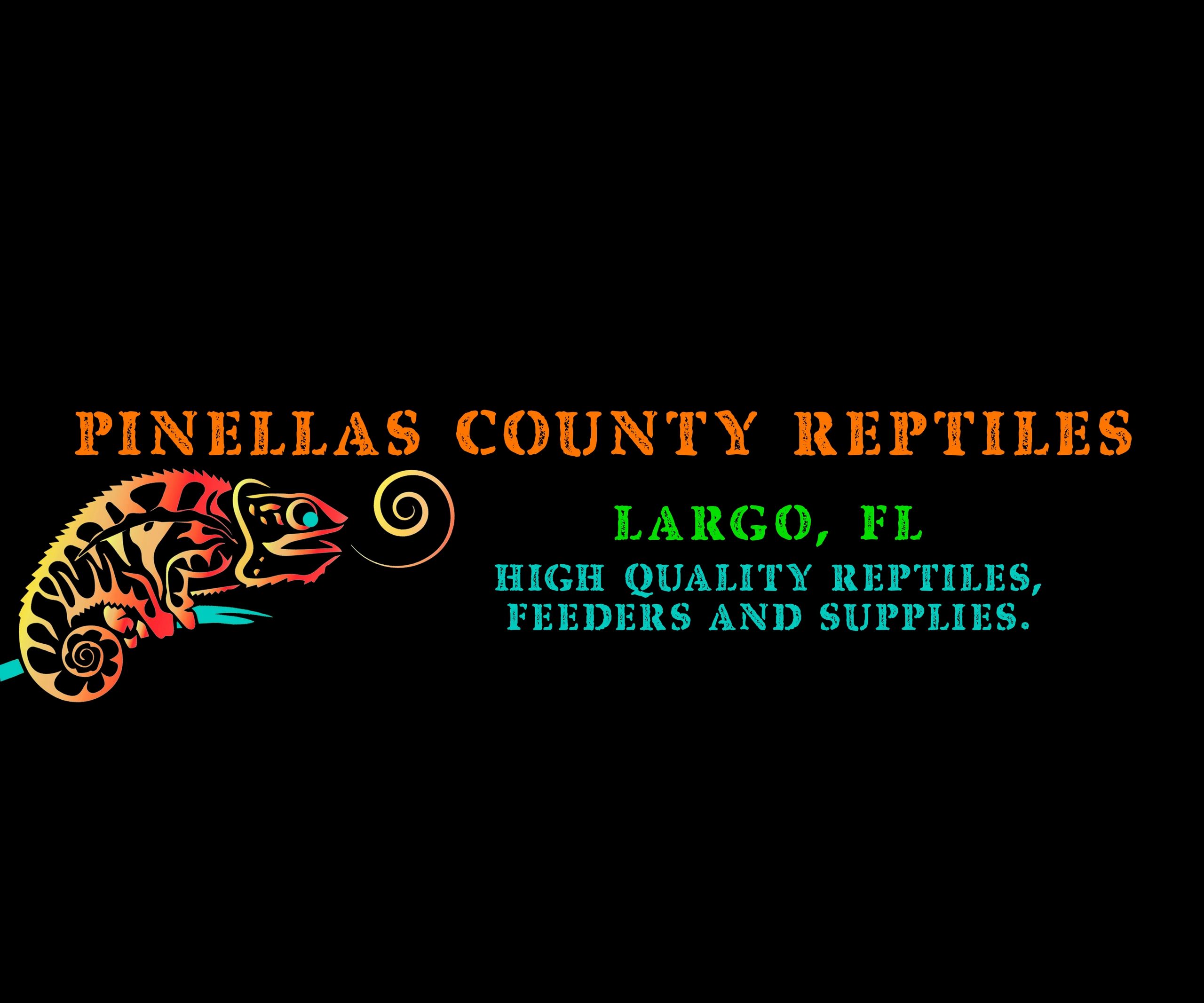 Pinellas County Reptiles