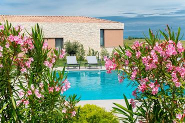 Beautiful swimming pool Villa Sanpadeo Brtonigla Istria Croatia