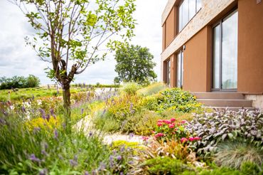 Smells of nature, flowers in a beautiful garden