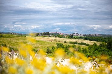 Beautiful view of Istria, Croatia