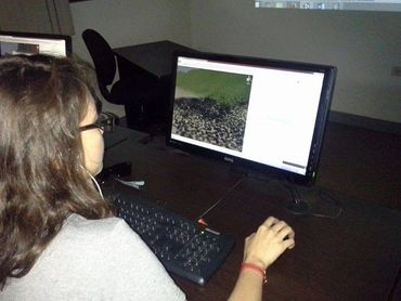 Cursos presenciales y virtuales de programación, Tecno Trainer Hermosillo
Aprenda Unity 3d y lenguaj