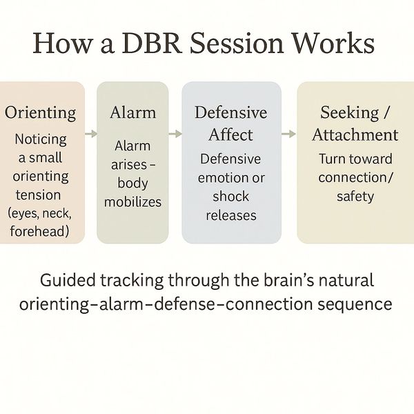 Diagram explaining the stages of a DBR session from orienting to seeking attachment.