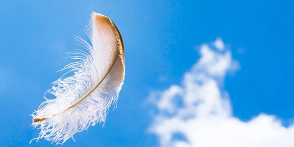 Feather