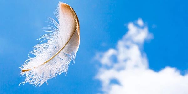 Blowing feather
