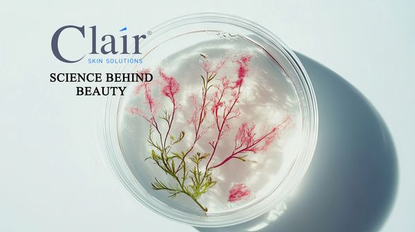 Best anti aging skincare vision