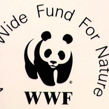 WWF logo with panda and text World Wide Fund For Nature.