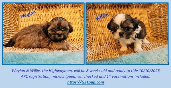 Willie is stil available