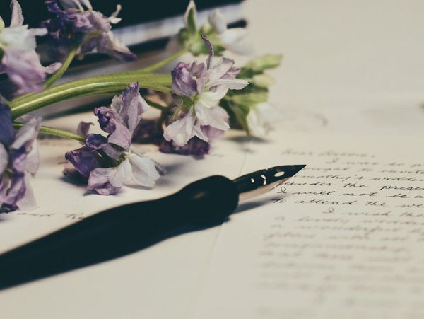 A fountain pen and purple flowers rest on handwritten letters.