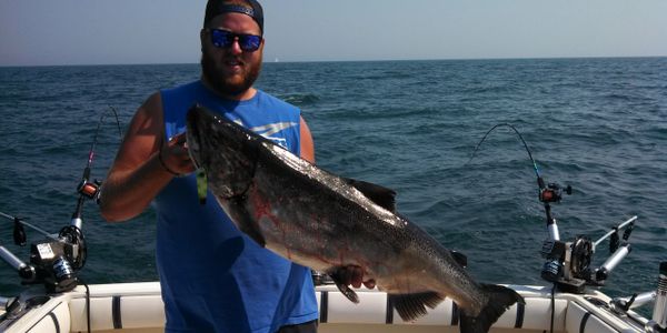 Trophy King Salmon fishing on Lake Ontario