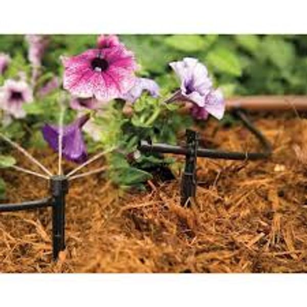 A flower bed with purple flowers and brown mulch.