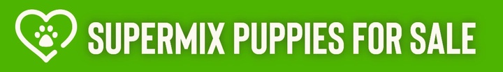 Supermix
Puppies For Sale