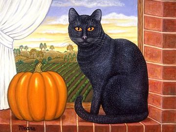 cat, black cat, pumpkin, halloween, fall, autumn, food, 