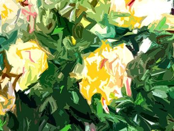 abstract flowers, abstract garden, roses, prints for sale, modern art, expressionism, roses,
