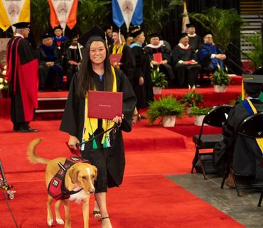 A smiling woman graduating and holding a diploma walking with a service dog