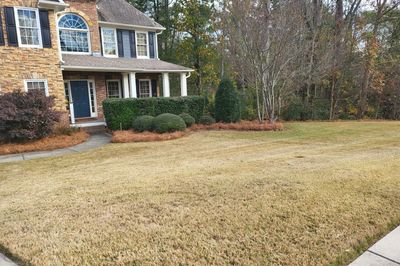 Hedge Trimming Roswell Ga