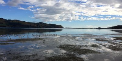 Beach, beach walk, Harwood, Otago Peninsula

