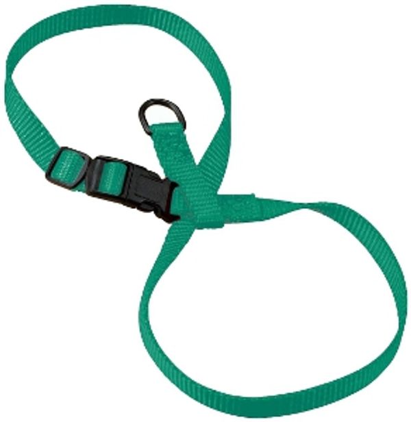 VERY SECURE/FIGURE 8 TYPE HARNESS - Bengals Bolt Out of the H-Type!!! ALSO Bring a LEASH!!