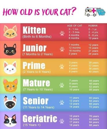 *YOUNG PRIME = BOGO $100 OFF!!