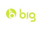 BIGBOI Blowers Singapore